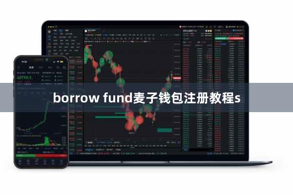 borrow fund麦子钱包注册教程s