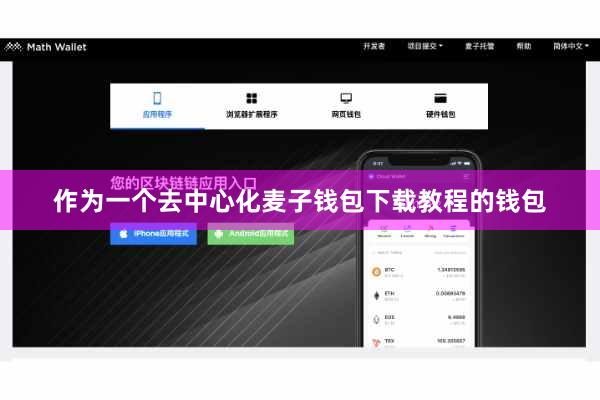 作为一个去中心化麦子钱包下载教程的钱包
