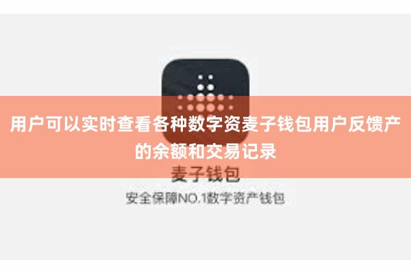用户可以实时查看各种数字资麦子钱包用户反馈产的余额和交易记录