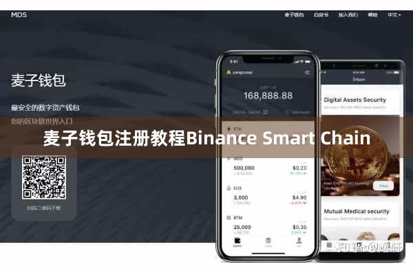 麦子钱包注册教程Binance Smart Chain