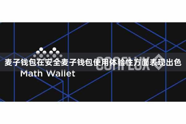 麦子钱包在安全麦子钱包使用体验性方面表现出色