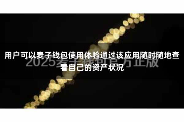 用户可以麦子钱包使用体验通过该应用随时随地查看自己的资产状况