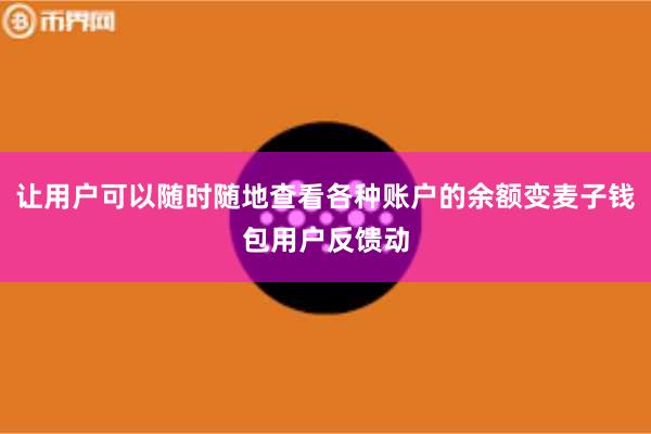 让用户可以随时随地查看各种账户的余额变麦子钱包用户反馈动