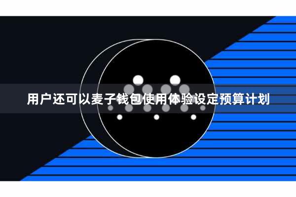用户还可以麦子钱包使用体验设定预算计划