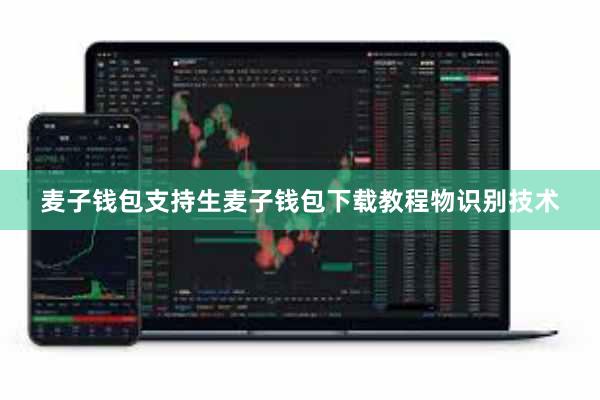 麦子钱包支持生麦子钱包下载教程物识别技术