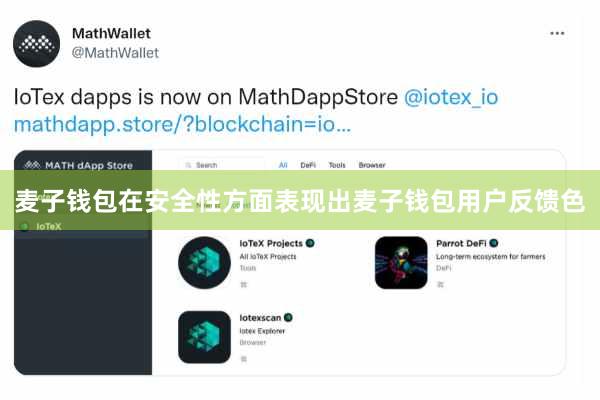 麦子钱包在安全性方面表现出麦子钱包用户反馈色