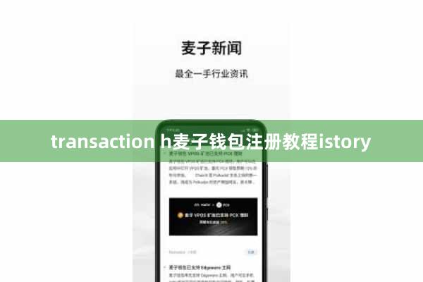 transaction h麦子钱包注册教程istory