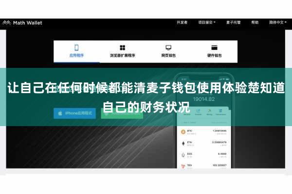 让自己在任何时候都能清麦子钱包使用体验楚知道自己的财务状况