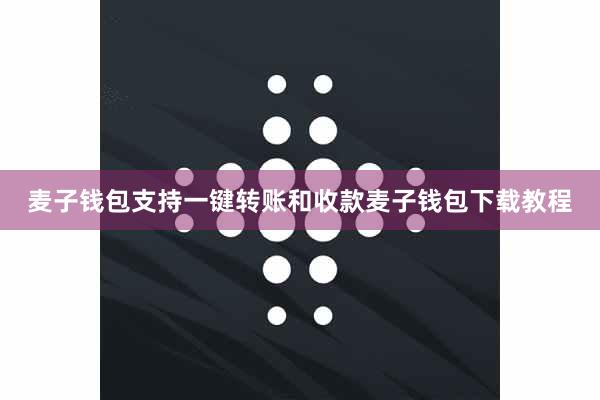 麦子钱包支持一键转账和收款麦子钱包下载教程