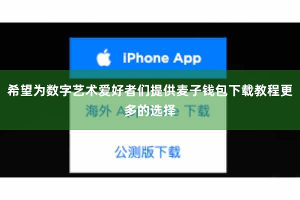 希望为数字艺术爱好者们提供麦子钱包下载教程更多的选择
