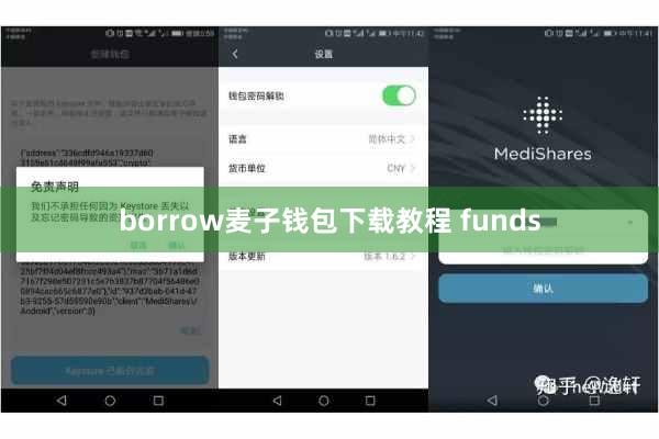 borrow麦子钱包下载教程 funds