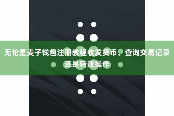 无论是麦子钱包注册教程收发货币、查询交易记录还是转账操作
