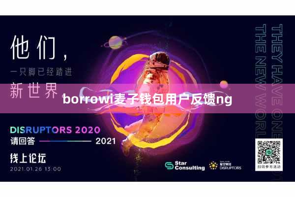 borrowi麦子钱包用户反馈ng