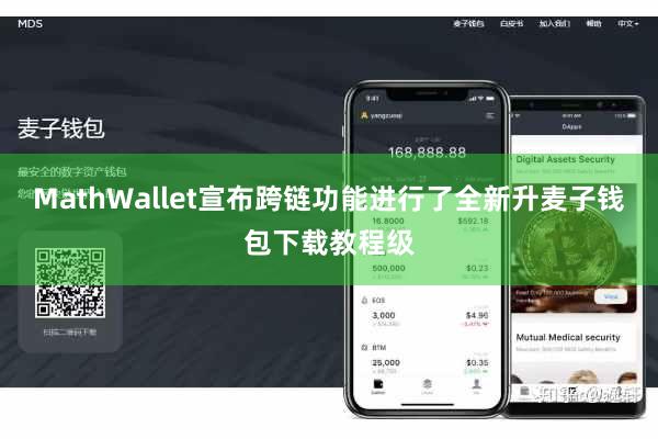 MathWallet宣布跨链功能进行了全新升麦子钱包下载教程级