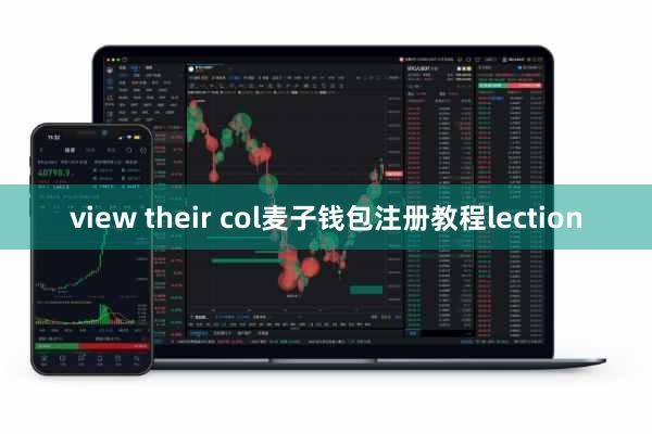 view their col麦子钱包注册教程lection