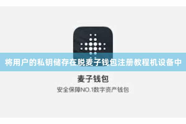 将用户的私钥储存在脱麦子钱包注册教程机设备中