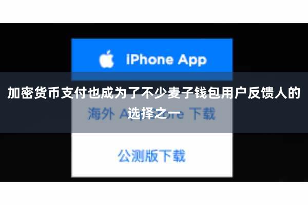 加密货币支付也成为了不少麦子钱包用户反馈人的选择之一