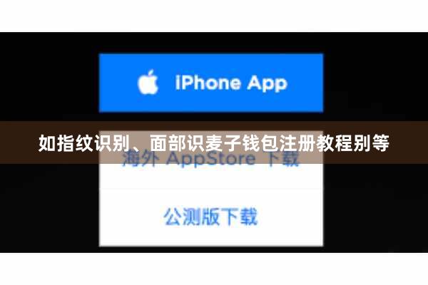 如指纹识别、面部识麦子钱包注册教程别等