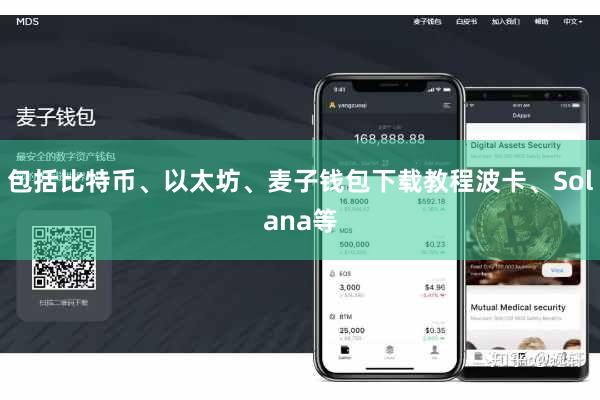 包括比特币、以太坊、麦子钱包下载教程波卡、Solana等